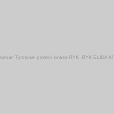 Image of Human Tyrosine- protein kinase RYK, RYK ELISA KIT